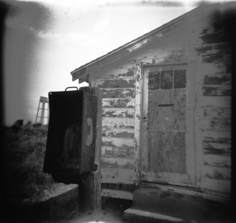 artwork by Mira Gohel