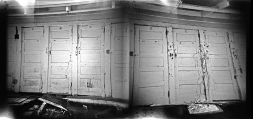 artwork by Mira Gohel