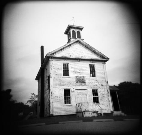 artwork by Mira Gohel